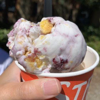 Salt & Straw - Double Scoop in a Cup: Huckleberry Cornbread (top), Pear Blue Cheese (bottom) - Ice Cream & Frozen Yogurt Near Me - Seattle, Washington