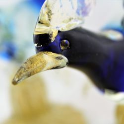 Jack's Antique - Murano goldflecks art glass bird