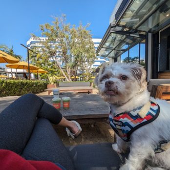 The Enclave - Even my dog loves this place!! - Shopping Centers Near Me - Torrance, California The Enclave - Even my dog loves this place!! - Shopping Centers Near Me - Torrance, California