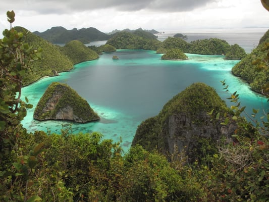 Underwater World by null