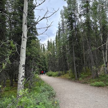 Denali National Park - Hiking Near Me - Mckinley Park, Alaska