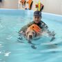 Photo of Scuba Sams