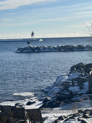 The Fisherman's Daughter at Dockside Fish Market by null