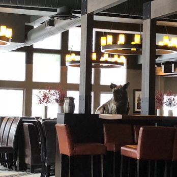 Earls Kitchen + Bar - Canadian (New) Near Me - Banff, Alberta Earls Kitchen + Bar - Canadian (New) Near Me - Banff, Alberta