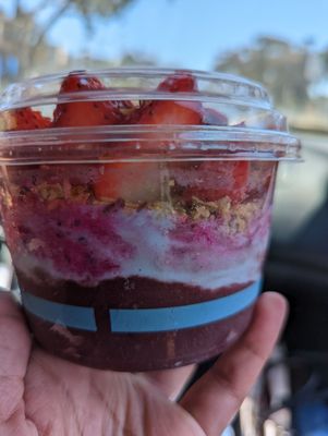 Blue Bowl - San Diego (UCSD) by null