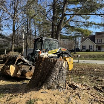 Xion Services - Tree cutting - Painters Near Me