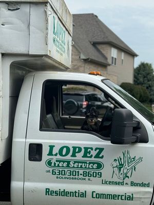 Lopez Tree Service on Yelp