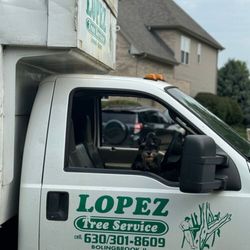 Lopez Tree Service