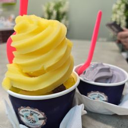 Small Frozen Yogurt