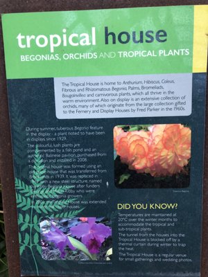 Pukekura Park by null