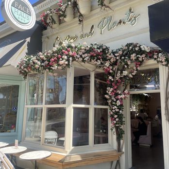 Coffee and Plants - Coffee & Tea Near Me - Studio City, California Coffee and Plants - Coffee & Tea Near Me - Studio City, California