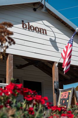 Bloom Roadside by null