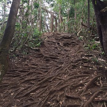 Kuliouou Ridge Trail - Hiking Near Me - Honolulu, Hawaii Kuliouou Ridge Trail - Hiking Near Me - Honolulu, Hawaii