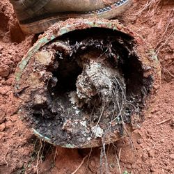 The Professional Plumber