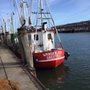 Photo of Fischmarkt