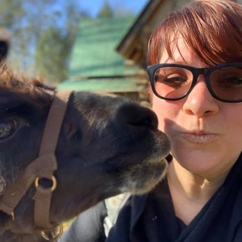 Smoky Mountain Llama Treks - Maximus is very loving if he likes you! - Hiking Near Me - Cosby, Tennessee Smoky Mountain Llama Treks - Maximus is very loving if he likes you! - Hiking Near Me - Cosby, Tennessee