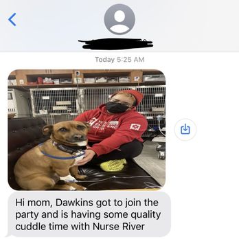 VEG ER for Pets - amazing service and was kept up to date with pictures while he stayed the night there to get IV meds/fluids! - Emergency Pet Hospital Near Me - Hoboken, New Jersey VEG ER for Pets - amazing service and was kept up to date with pictures while he stayed the night there to get IV meds/fluids! - Emergency Pet Hospital Near Me - Hoboken, New Jersey