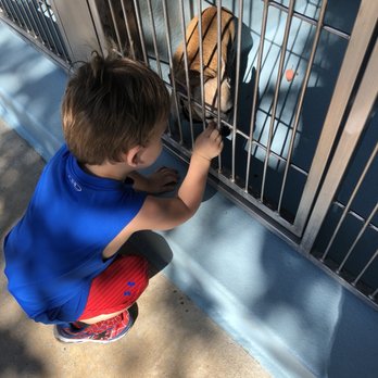 Irvine Animal Care Center - Animal Shelters Near Me - Irvine, California Irvine Animal Care Center - Animal Shelters Near Me - Irvine, California