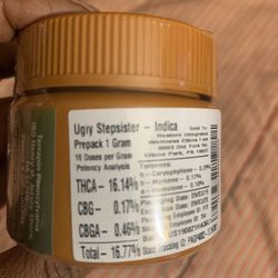 TerraVida Holistic Centers - Ugly Stepsister for the Win!!