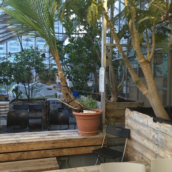 Concordia Greenhouse - Botanical Gardens Near Me - Montreal, Quebec