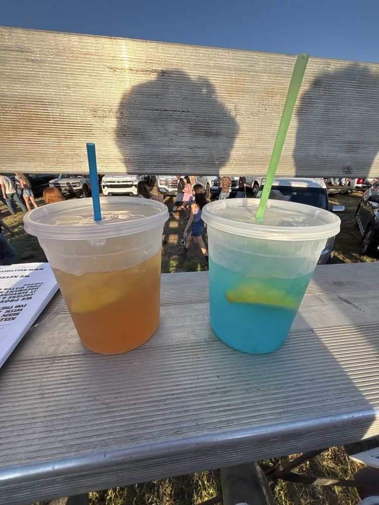 Boss Lady Lemonade Logo
