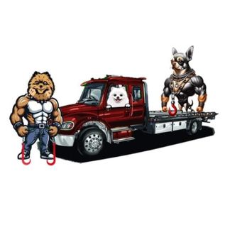 Cash Towing - Towing Near Me - West Chicago, Illinois