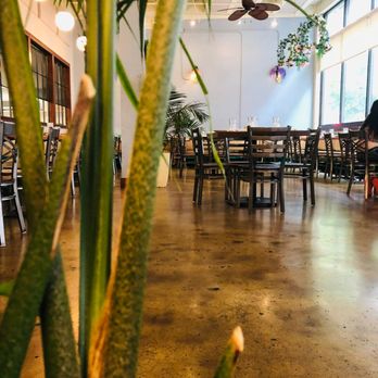 Big Tikka - Interior - Indian Near Me - Asheville, North Carolina
