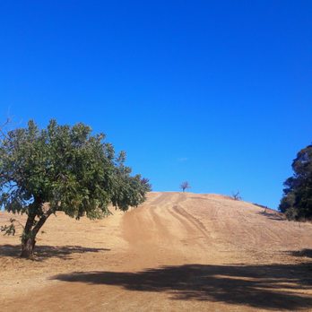 Montgomery Hill Park - Hiking Near Me - San Jose, California Montgomery Hill Park - Hiking Near Me - San Jose, California