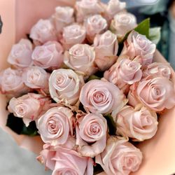 25 long stem roses light pink