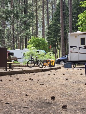 Upper Pines Campground by null