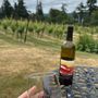 Photo of Holmes Harbor Cellars