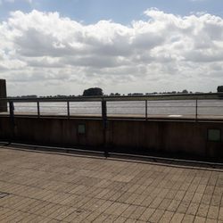 Rheinblick - Blick auf den Rhein