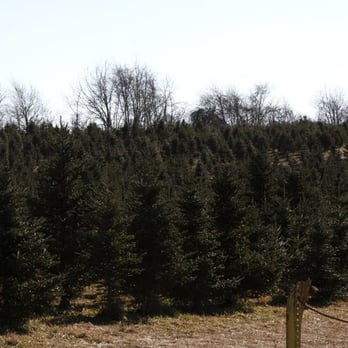 Beck's Christmas Trees - Christmas Trees Near Me - Mount Bethel, Pennsylvania Beck's Christmas Trees - Christmas Trees Near Me - Mount Bethel, Pennsylvania
