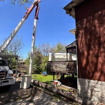 Rudolph Tree Service - Tree Services Near Me Rudolph Tree Service - Tree Services Near Me