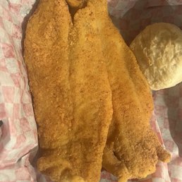 Catfish Catfish