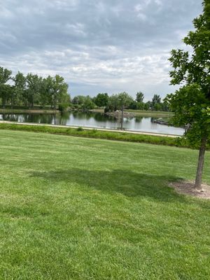 Addenbrooke Park CO: Your Essential Lakewood Guide