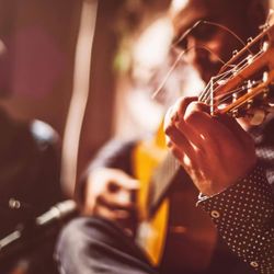 Cabaret at Circus Circus Reno Hotel & Casino - Live musicians at Cabaret in Circus Circus Reno Hotel & Casino