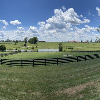 Unique Horse Farm Tours - Gorgeous vistas - Tours Near Me - Lexington, Kentucky Unique Horse Farm Tours - Gorgeous vistas - Tours Near Me - Lexington, Kentucky