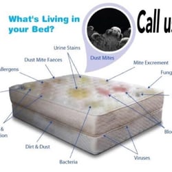 Woodson's Carpet Cleaning & Restoration