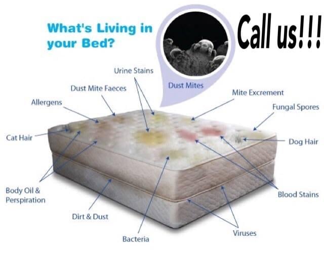 WOODSON’S CARPET CLEANING & RESTORATION 27 Photos 5436 Old Maumee