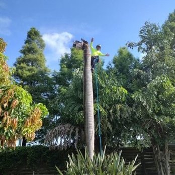 Perez Vasquez Tree Service - Tree Services Near Me Perez Vasquez Tree Service - Tree Services Near Me
