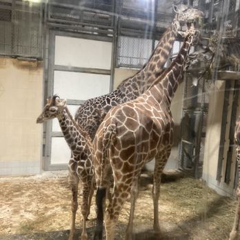 The Toledo Zoo - Zoos Near Me - Toledo, Ohio