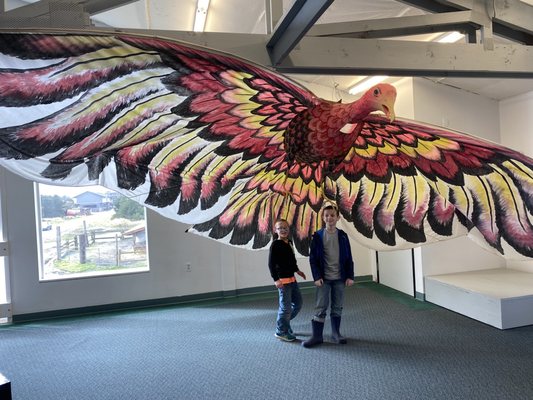 World Kite Museum & Hall-Fame by null