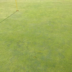 La Junta Golf Club