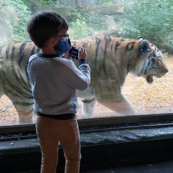 Henry Vilas Park Zoo - Zoos Near Me - Madison, Wisconsin Henry Vilas Park Zoo - Zoos Near Me - Madison, Wisconsin