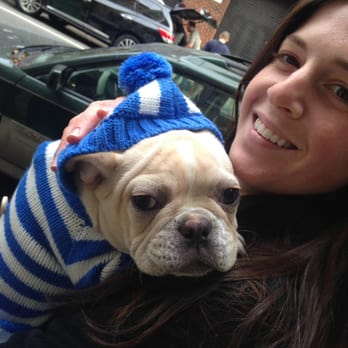 Prancing Paws NYC - Dog Walkers Near Me Prancing Paws NYC - Dog Walkers Near Me