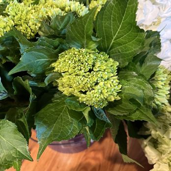 Metro Flower Market - Gorgeous color! - Florists Near Me - Chantilly, Virginia Metro Flower Market - Gorgeous color! - Florists Near Me - Chantilly, Virginia