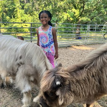 Brandywine Cow Cuddles - Attraction Farms Near Me - Brandywine, Maryland Brandywine Cow Cuddles - Attraction Farms Near Me - Brandywine, Maryland