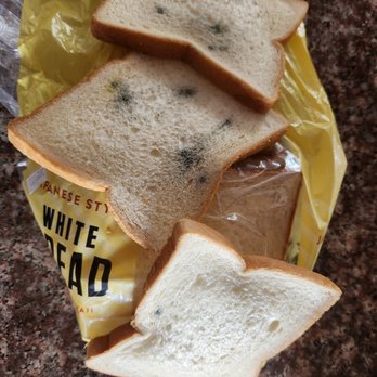 La Tour Bakehouse - Code date 3/9/23. On 3/6/23 already all moldy?? - Bakeries Near Me - Honolulu, Hawaii La Tour Bakehouse - Code date 3/9/23. On 3/6/23 already all moldy?? - Bakeries Near Me - Honolulu, Hawaii