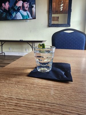 Mississippi Catfish by null